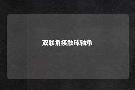 双联角接触球轴承 